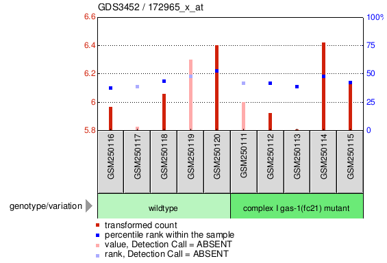 Gene Expression Profile