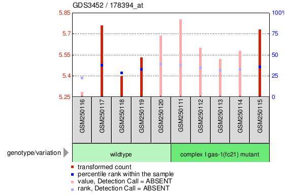 Gene Expression Profile