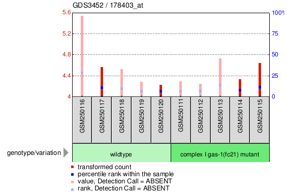 Gene Expression Profile