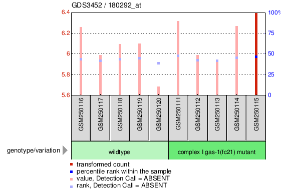 Gene Expression Profile