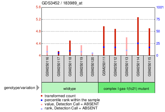 Gene Expression Profile