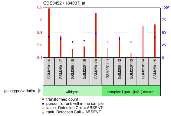 Gene Expression Profile