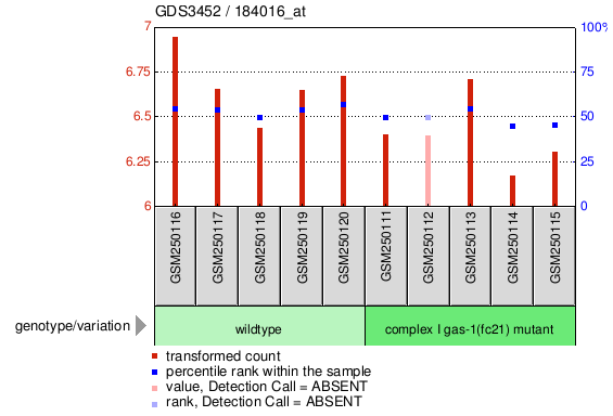 Gene Expression Profile