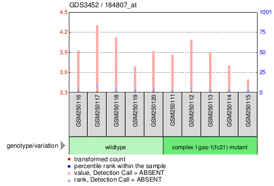 Gene Expression Profile