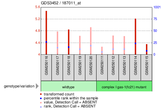 Gene Expression Profile