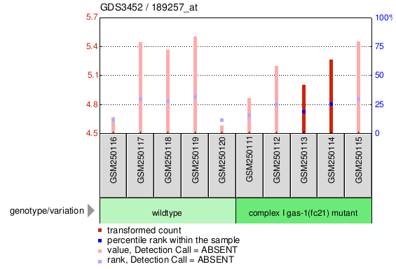 Gene Expression Profile