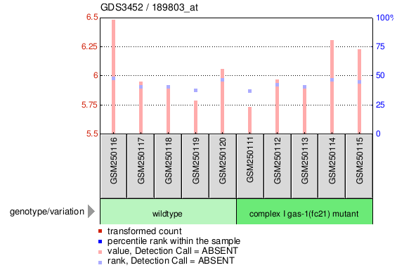 Gene Expression Profile