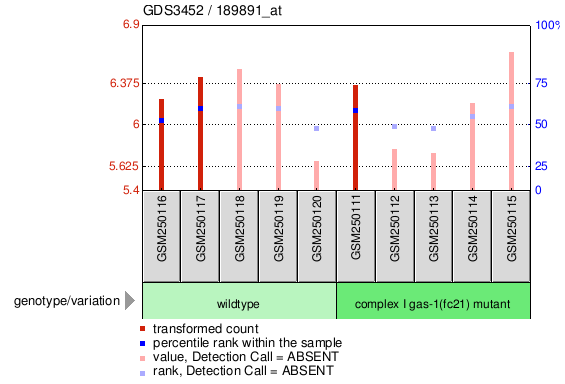 Gene Expression Profile