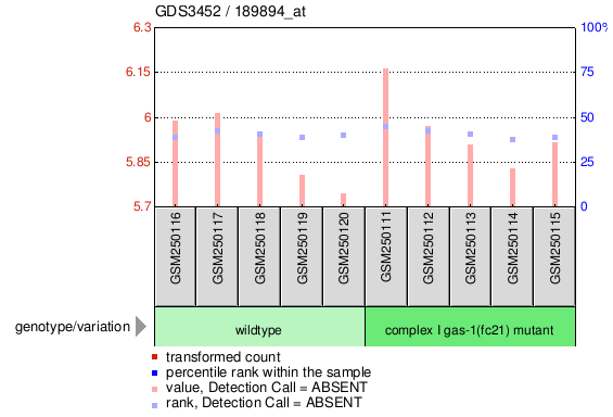 Gene Expression Profile