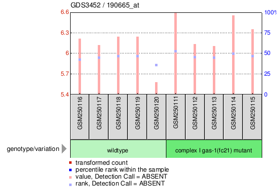 Gene Expression Profile