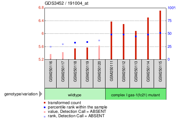 Gene Expression Profile