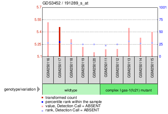 Gene Expression Profile