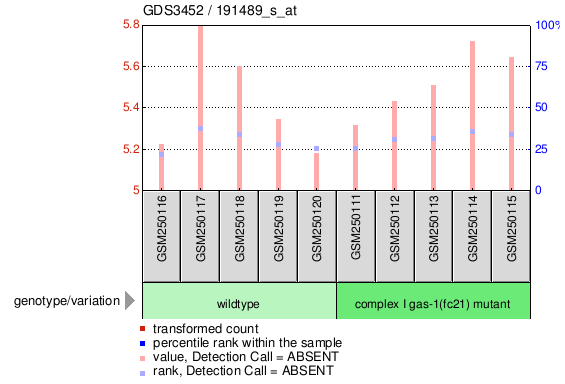 Gene Expression Profile