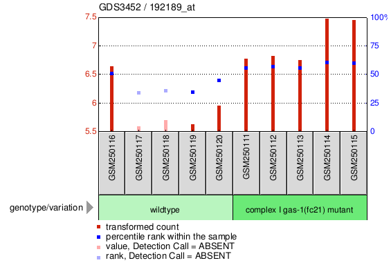 Gene Expression Profile