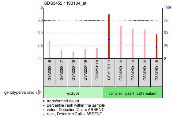 Gene Expression Profile