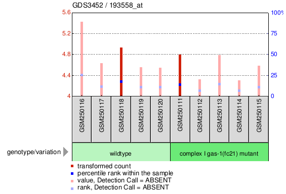 Gene Expression Profile