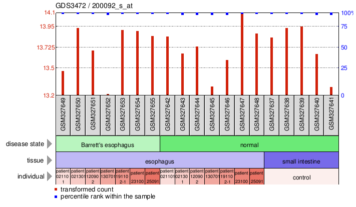 Gene Expression Profile