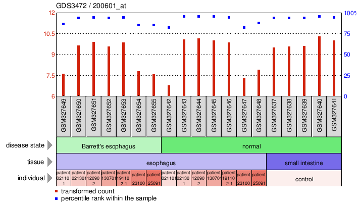 Gene Expression Profile