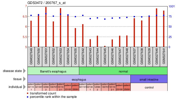 Gene Expression Profile