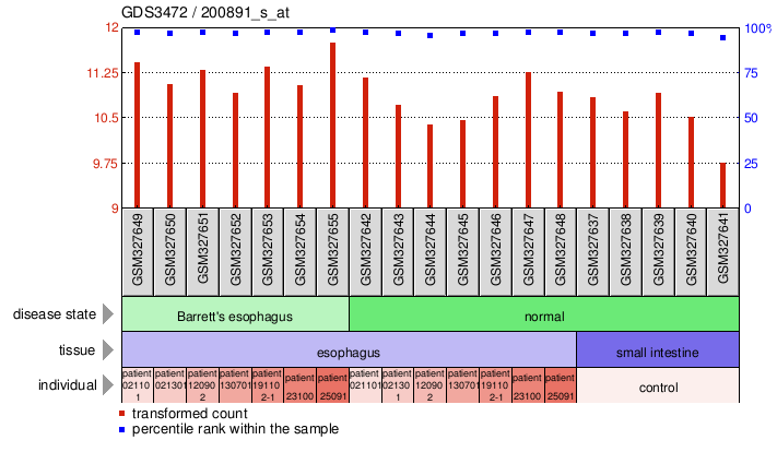 Gene Expression Profile