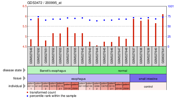 Gene Expression Profile