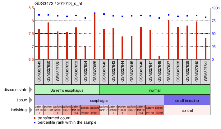 Gene Expression Profile