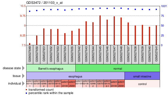 Gene Expression Profile