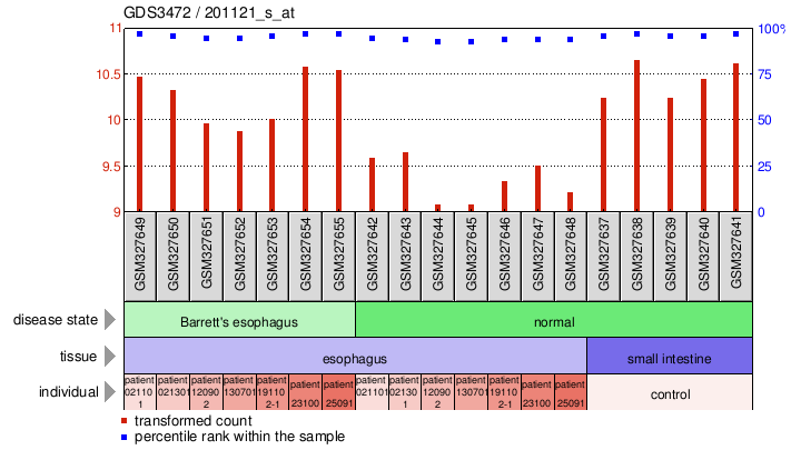 Gene Expression Profile