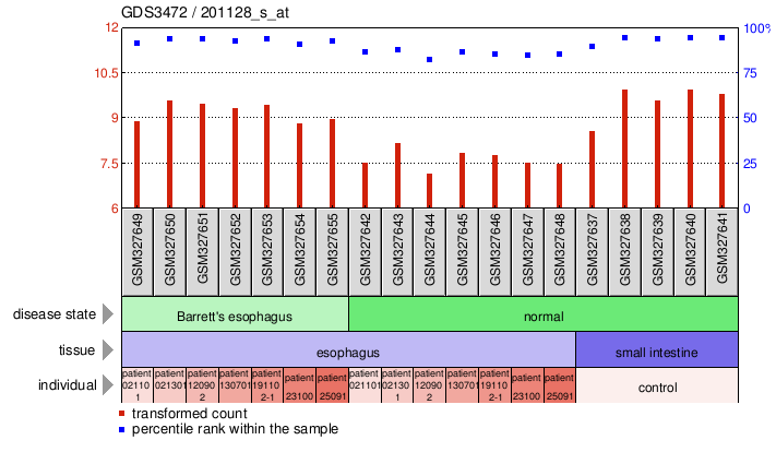 Gene Expression Profile