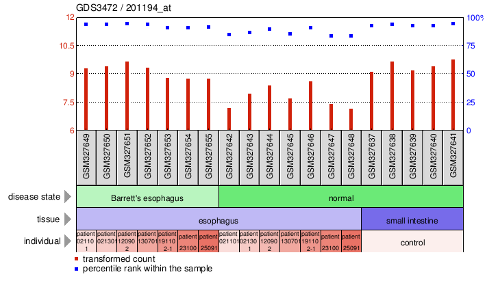 Gene Expression Profile