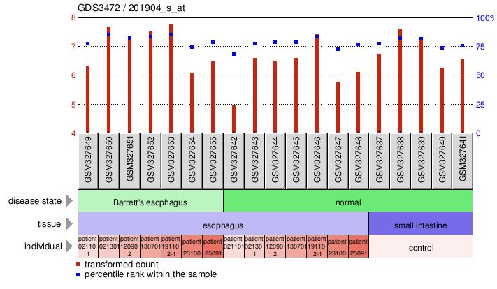 Gene Expression Profile