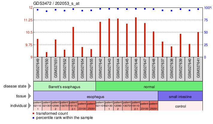 Gene Expression Profile