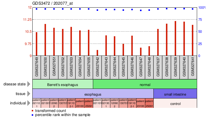 Gene Expression Profile