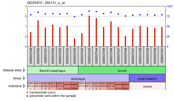 Gene Expression Profile