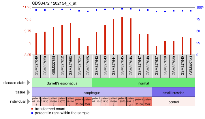 Gene Expression Profile