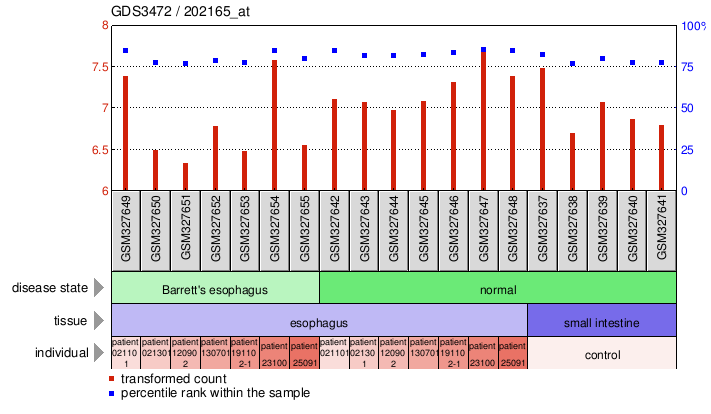 Gene Expression Profile