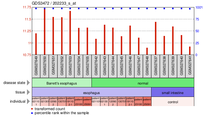 Gene Expression Profile