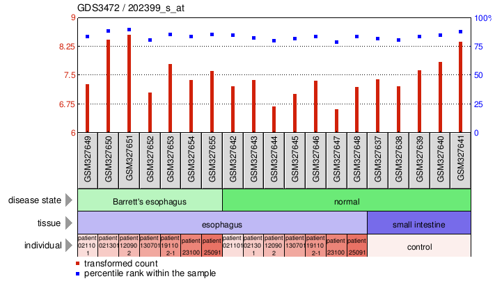 Gene Expression Profile