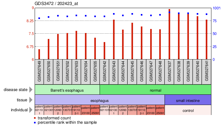 Gene Expression Profile