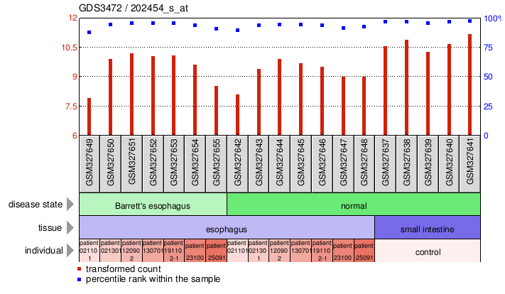 Gene Expression Profile