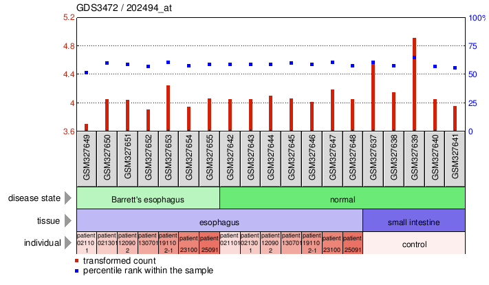 Gene Expression Profile