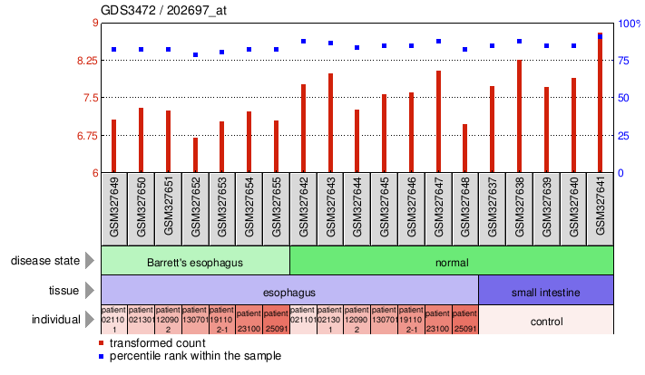 Gene Expression Profile