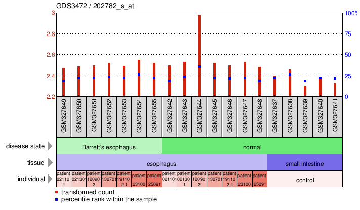 Gene Expression Profile