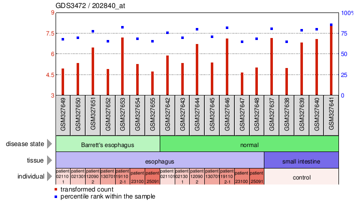 Gene Expression Profile