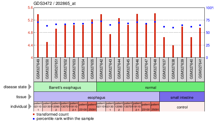 Gene Expression Profile