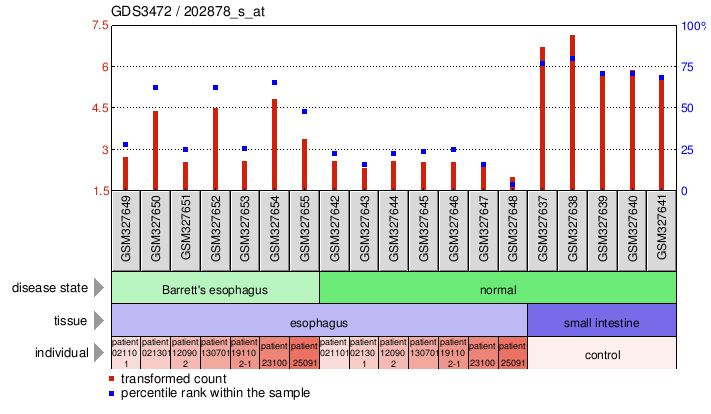 Gene Expression Profile