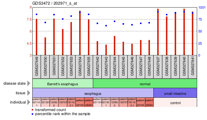 Gene Expression Profile