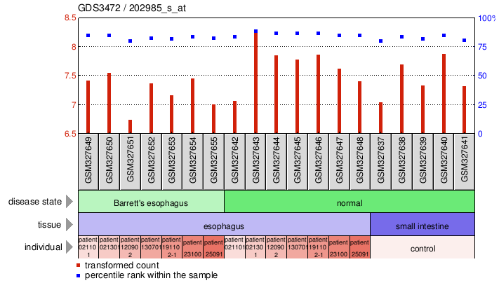 Gene Expression Profile