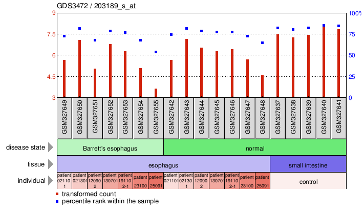 Gene Expression Profile