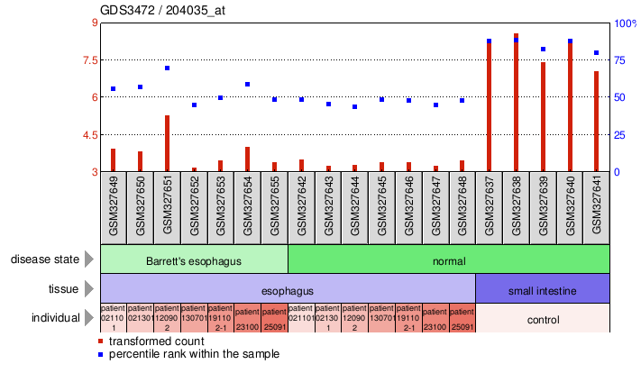 Gene Expression Profile